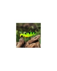 Cykada Germina Dark Hornet 10,5 G