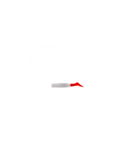 Przynęta Gumowa GERMINA Impulse Offensive 6cm - 3 szt.