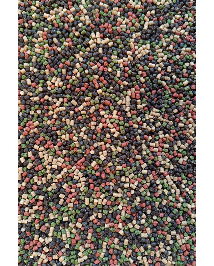 Pellet FEEDER BAIT 2mm 800g - Halibut Green Black Red