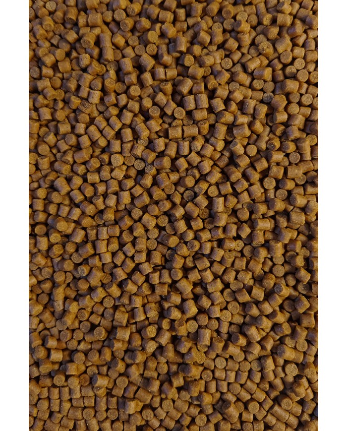 Pellet FEEDER BAIT 4mm 800g - Orzech Tygrysi