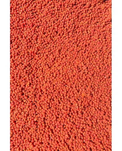 Gotowy Pellet 2mm FEEDER BAIT Czosnek & Śliwka 600g