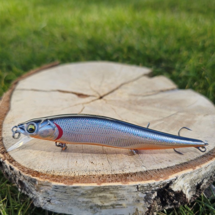 Wobler GERMINA Asp 10cm 10.5g Silver