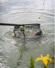 Kosz do Podbieraka MATRIX Carp Scoop S Net - 45x35cm