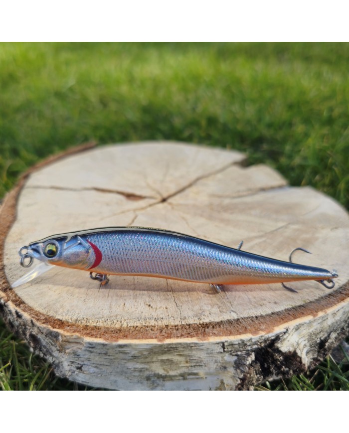 Wobler GERMINA Asp 10cm 10.5g Silver