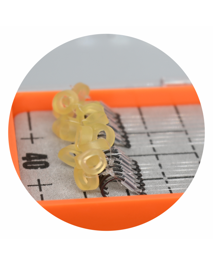 Przypony GENLOG Ready Rig z Gumką 38cm - Hak 10 Żyłka 0.20mm - op. 16 szt.