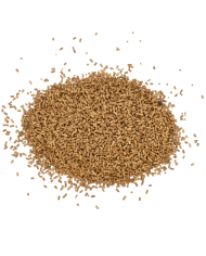 Pellet GENLOG Protein Bomb Oryginal 2mm 800g Pellet GENLOG Protein Bomb Oryginal 2mm 800g