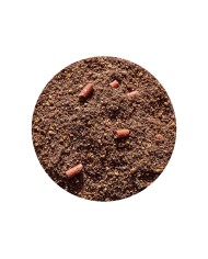 Zanęta GENLOG Golden Bream 3 kg - Melasa Zanęta GENLOG Golden Bream 3 kg - Melasa