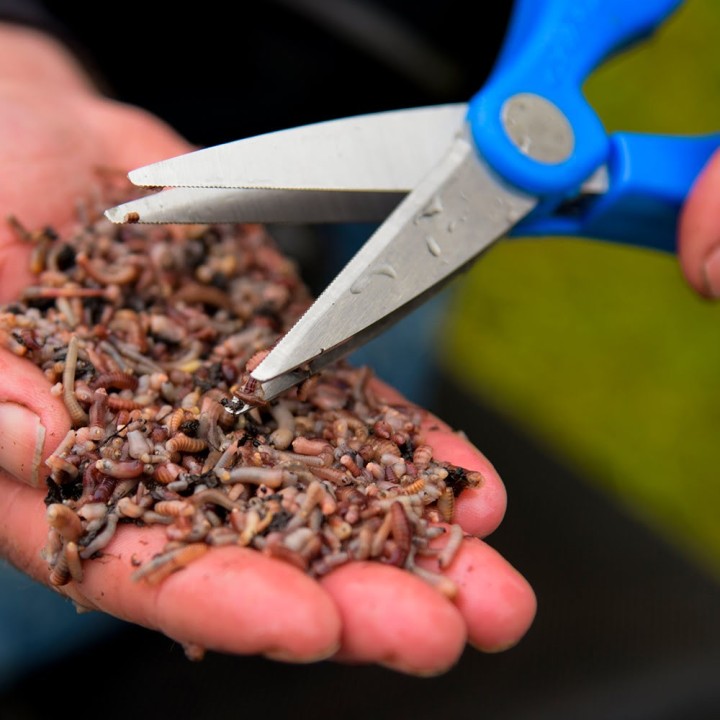 Podwójne Nożyczki CRESTA do robaków Double Blade Wormchopper