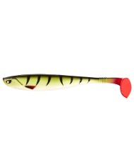 Lucky John 3D ANIRA SOFT SWIM BOX (16) 6"