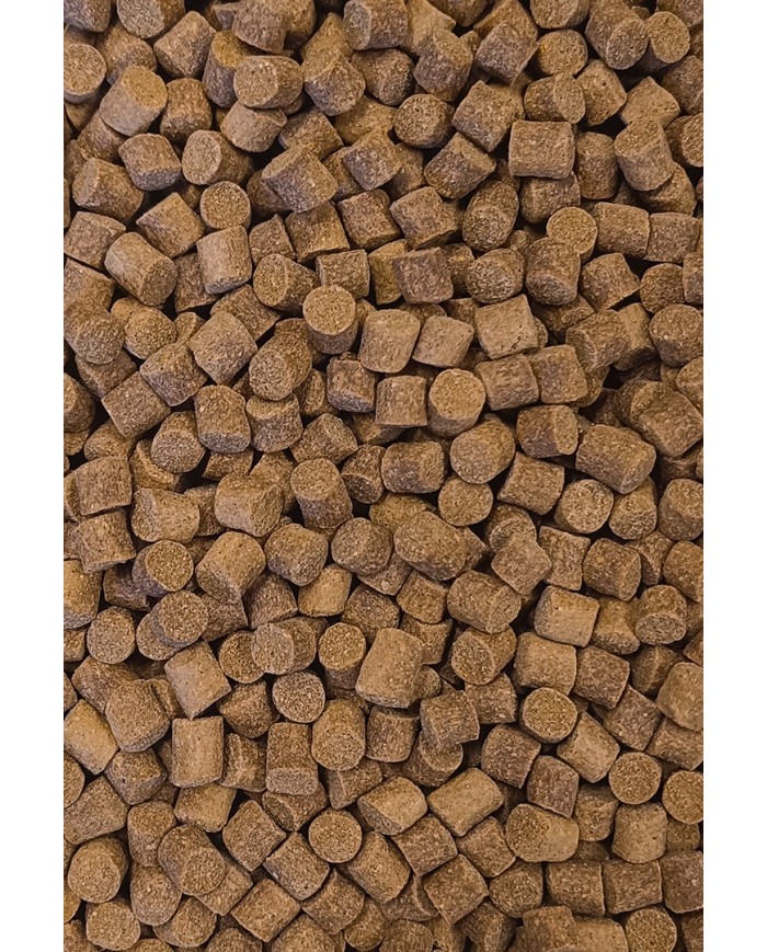 Pellet FEEDER BAIT Match 9mm 800g - Jasny