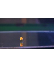 Wafters OSMO Mini Robak Wiggly - Namiętna 12x6mm