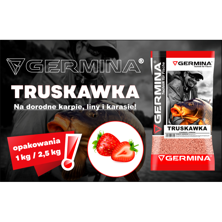 Zanęta GERMINA Truskawka 2,5kg