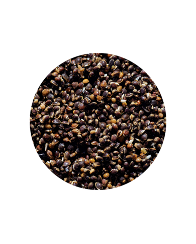 Ziarno Genlog 1L - Konopia Naturalna Ziarno Genlog 1L - Konopia Naturalna
