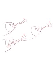 Wypychacz haczyków DELPHIN HOOKY