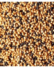 Pellet FEEDER BAIT Prestige 2mm 800g - Natural Pellet FEEDER BAIT Prestige 2mm 800g - Natural