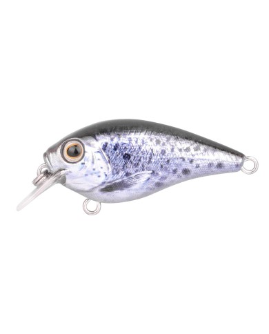 Wobler Spro Ikiru Crank Sea Trout 4.5cm