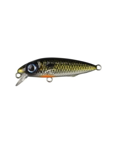 Wobler Spro Iris The Kid Hardlure Shad 4,8cm 6g